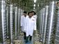 Mideast_Iran_Nuclear_Webe_2_mugshot_four_by_three.jpg