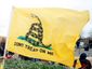 tea-party_web_20121204_0002_mugshot_four_by_three.jpg