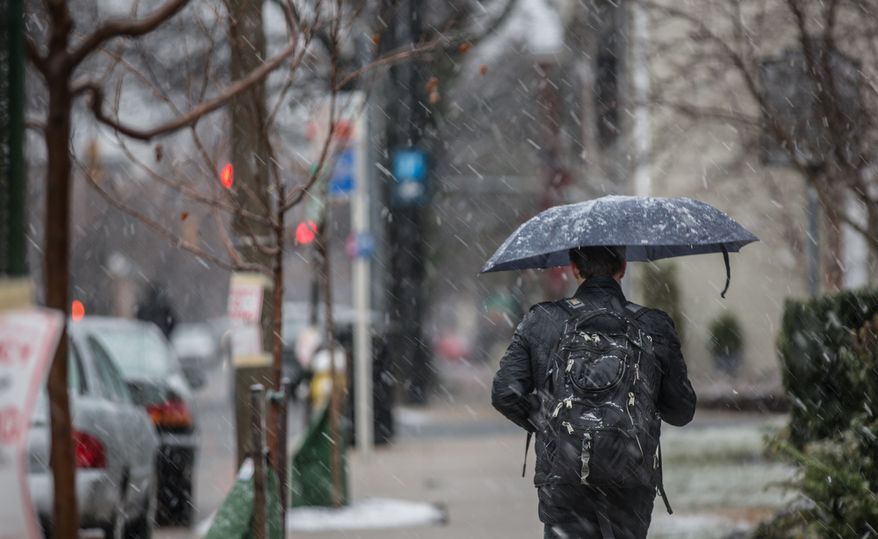 An Old Town resident travels down the street, using his umbrella to shield him from the snow in Alexandria, VA., Wednesday, March 6, 2013. (Andrew S. Geraci/The Washington Times)