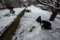 SNOW_026