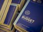 budget_20120213_0298_02131124_3_mugshot_four_by_three.jpg