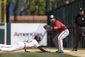 Nationals Tigers Spri_Lanc(9).jpg
