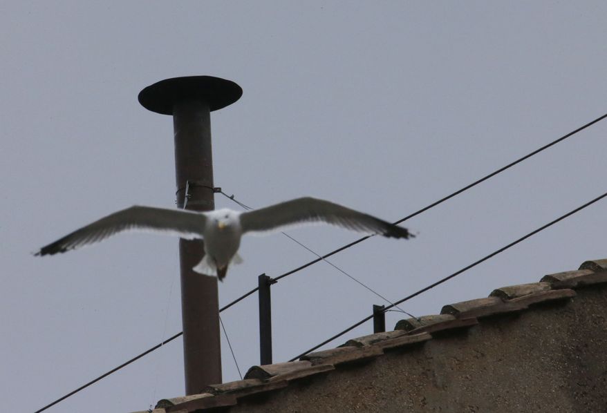 A seagull glides past the chimney on the roof of the Sistine Chapel, in St. Peter's Square at the Vatican, Tuesday, March 12, 2013. The most gazed-at item at the Vatican this week will be a humble, copper, 2-meter (6-foot) high chimney that will pipe-out puffs of smoke to tell the world if there's a new pope. Black smoke means "not yet." White smoke means "pope elected." (AP Photo/Dmitry Lovetsky)