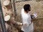 gitmo_3956_20081118_mugshot_four_by_three.jpg
