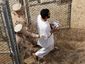 gitmo_3956_20081118_2_mugshot_four_by_three.jpg