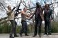 wd3-daryl-merle-640