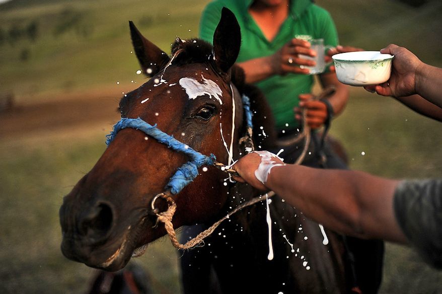 Milk is poured over the head of the winning horse as a sign of good luck after a race at the Mongolian Border Forces camp near the Russian border. Horses are greatly cherished in Mongolian culture, especially by the nomads because horses are very useful to people's daily lives and livelihood. Horse racing is the second most popular event in Mongolia, after traditional wrestling. There is a traditional saying in Mongolian: "A Mongol without a horse is like a bird without the wings." (U.S. Air Force photo by Tech. Sgt. Jeremy T. Lock)