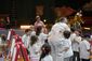 ELEPHANT_20130411_11136