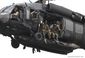 SEALS_11259