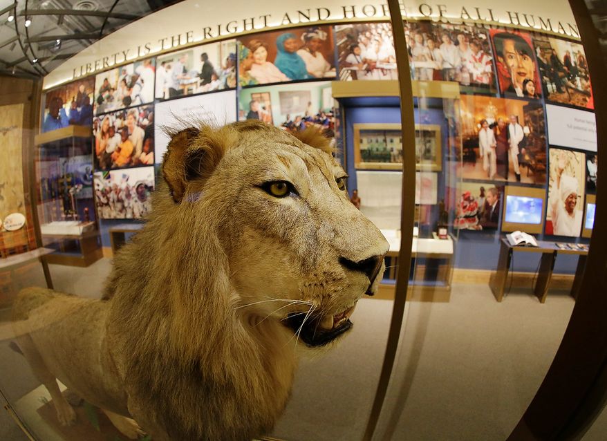A lion presented to President George W. Bush by Tanzanian President Jakaya Kikwete during Bush's trip to Africa in 2008 is seen on display at the George W. Bush Presidential Center Wednesday, 24, 2013, in Dallas. More than 8,000 people are expected to attend the invitation-only dedication of the center, Thursday, April 25, which will house the presidential library and museum along with the 43rd presidentís policy institute. It opens to the public on May 1. (AP Photo/David J. Phillip)