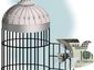 b3-small-gov-ah_mugshot_four_by_three.jpg
