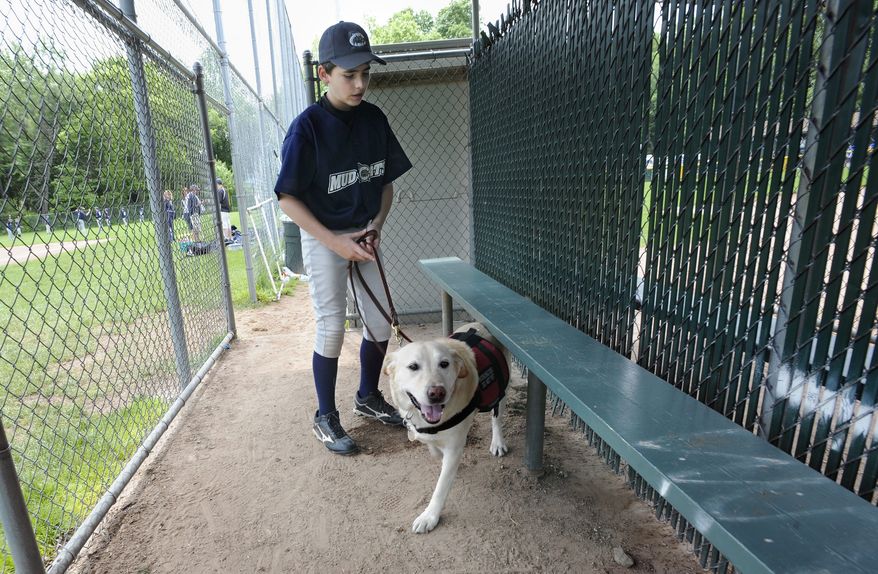 ** FILE ** In this Sunday, May 29, 2011, file photo, Jeff Glazer guides his allergy-sniffing dog, Riley, through a dugout of a ball field before his team's baseball game in Middlebury, Conn. Riley accompanies Jeff to ensure there are no peanut products or residue that could trigger his life-threatening allergic reactions. (AP Photo/Jessica Hill)