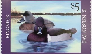 **FILE** The 2005-2006 Federal Junior Duck Stamp, designed by Kerissa Nelson, 17, of Grantsburg, Wis., is displayed on Capitol Hill in Washington on June 30, 2005, during the U.S. Fish and Wildlife Service&#x27;s first day of sale ceremony. (Associated Press)