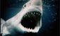 Jaws.jpg