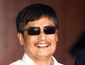 5_132013_china-blind-activist-28201.jpg