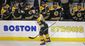 Maple Leafs Bruins Ho_Lanc.jpg