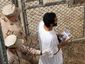 gitmo_3956_20081118_3_mugshot_four_by_three.jpg