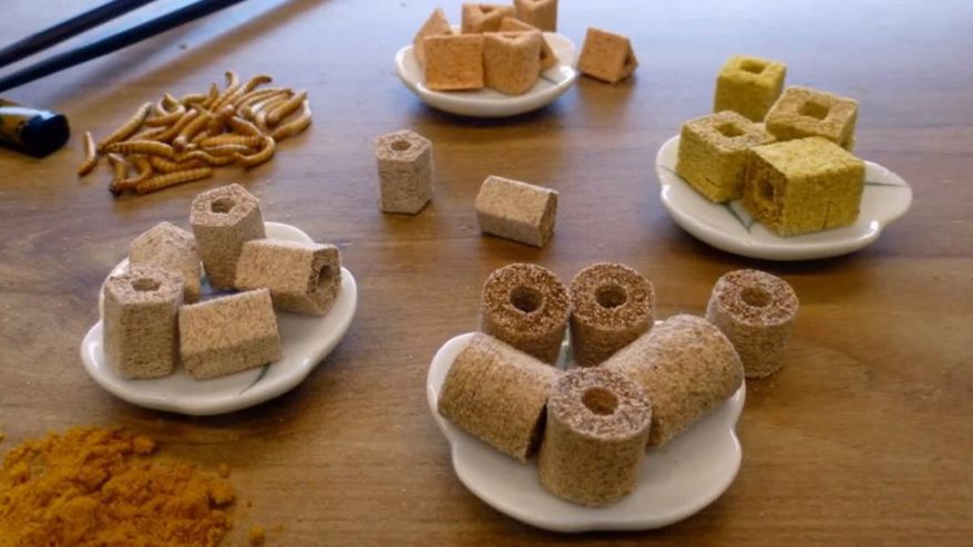 3-D-printed food samples (TNO Research)