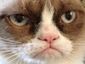 grumpy-cat-youtube_mugshot_four_by_three.jpg