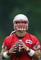 Patriots Tebow Footba_Lanc(2).jpg