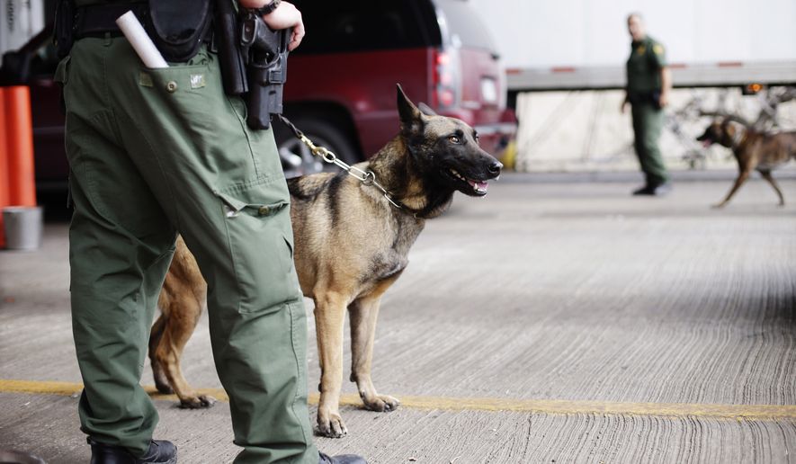 U.S. Customs and Border Patrol agents and K-9 security dogs keep watch at a checkpoint station, on Feb. 22, 2013, in Falfurrias, Texas. (Associated Press) **FILE**