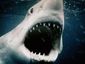 jaws_2_mugshot_four_by_three.jpg