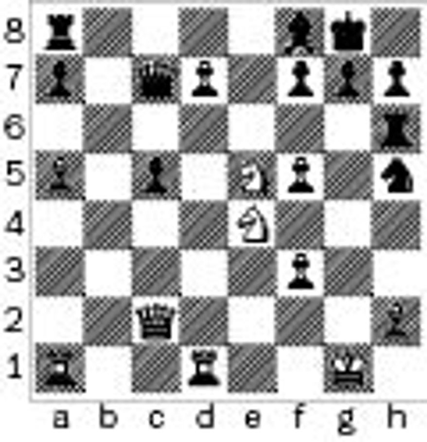 Williams-Mitkov after 29...Qc7.