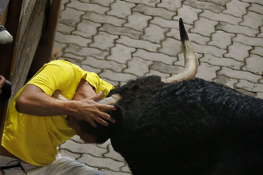 An &#39;El Pilar&#39; fighting bull gores a reveler during the running of the bulls of the San Fermin festival, in Pamplona, Spain, Friday, July 12, 2013. (AP Photo/Daniel Ochoa de Olza)