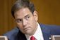 7_172013_rubio-38201.jpg