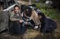 Walking Dead AP.jpg