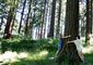 Tree Hugging_Lea.jpg