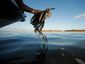 bp_web_20121115_0007_2_mugshot_four_by_three.jpg
