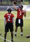 Ravens Training Camp _Lanc.jpg