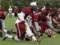 redskins-camp-footbal_lanc32_mugshot_four_by_three.jpg