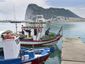 britain-spain-gibralt_live_mugshot_four_by_three.jpg