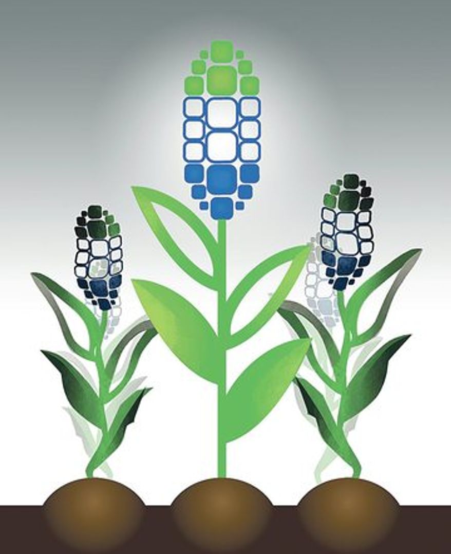 Illustration by Linas Garsys for The Washington Times