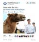 Biden.Camel.tweet.jpg