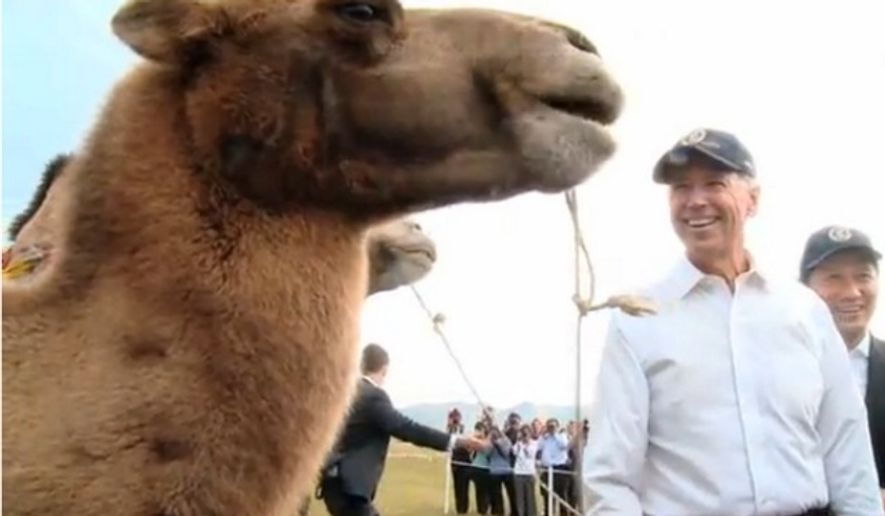 Vice President Joseph R. Biden poses with a camel in this photo tweeted by the White House.