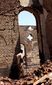 8_202013_egypt1258201.jpg