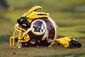 Steelers Redskins Foo_Lanc(3).jpg