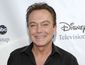 People-David Cassidy_Watt-2.jpg
