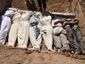 mideast-syria_lea_70_mugshot_four_by_three.jpg