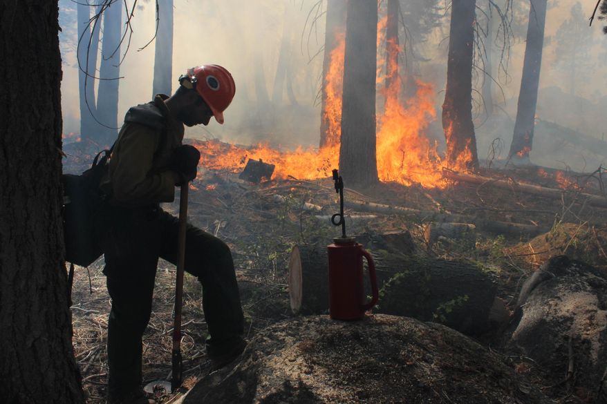 A Hotshot fire crew member rests near a controlled-burn operation at Horseshoe Meadows as crews continue to fight the Rim Fire near Yosemite National Park in California on Wednesday, Sept. 4, 2013. (AP Photo/U.S. Forest Service, Mike McMillan)