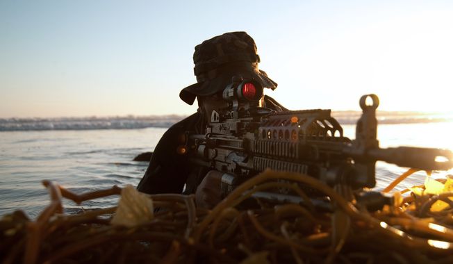 U.S. Navy SEALs in action. (U.S. Navy photo)
