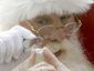 neiman-marcus-christmas-bookjpeg-034c0_mugshot_four_by_three.jpg