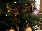 2_xmas1_mugshot_four_by_three.jpg
