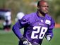 vikings-peterson-footballjpeg-08150_mugshot_four_by_three.jpg
