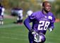 Vikings Peterson Football.JPEG-08150.jpg