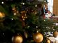 xmas1_mugshot_four_by_three.jpg