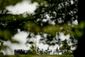 FUNERAL_20131016_006.JPG